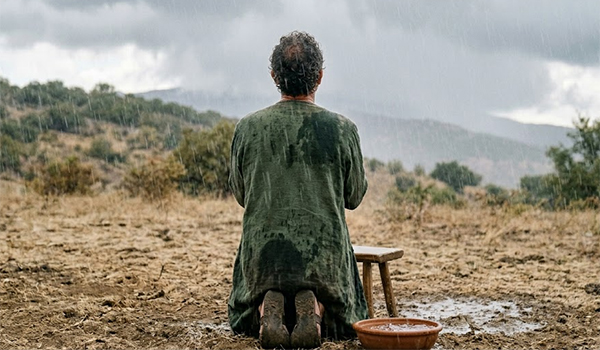 Picture of BHW partner